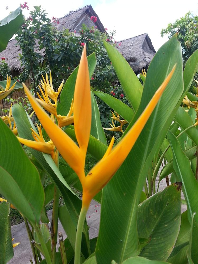 Bird Of Paradise Bungalows Kep Zewnętrze zdjęcie
